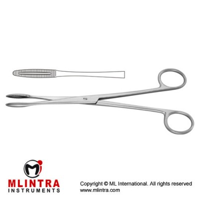Gross-Maier Dressing Forcep Straight - Without Ratchet Stainless Steel, 22 cm - 8 3/4"